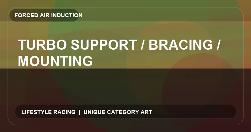 Turbo Support / Bracing / Mounting
